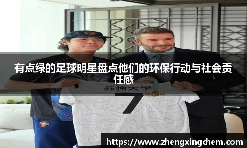 有点绿的足球明星盘点他们的环保行动与社会责任感