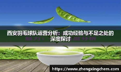 西安羽毛球队运营分析：成功经验与不足之处的深度探讨